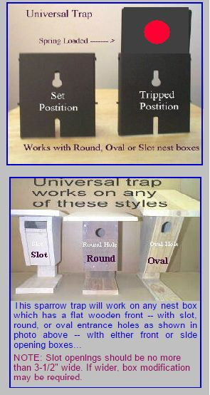 Van Ert Universal Sparrow Trap