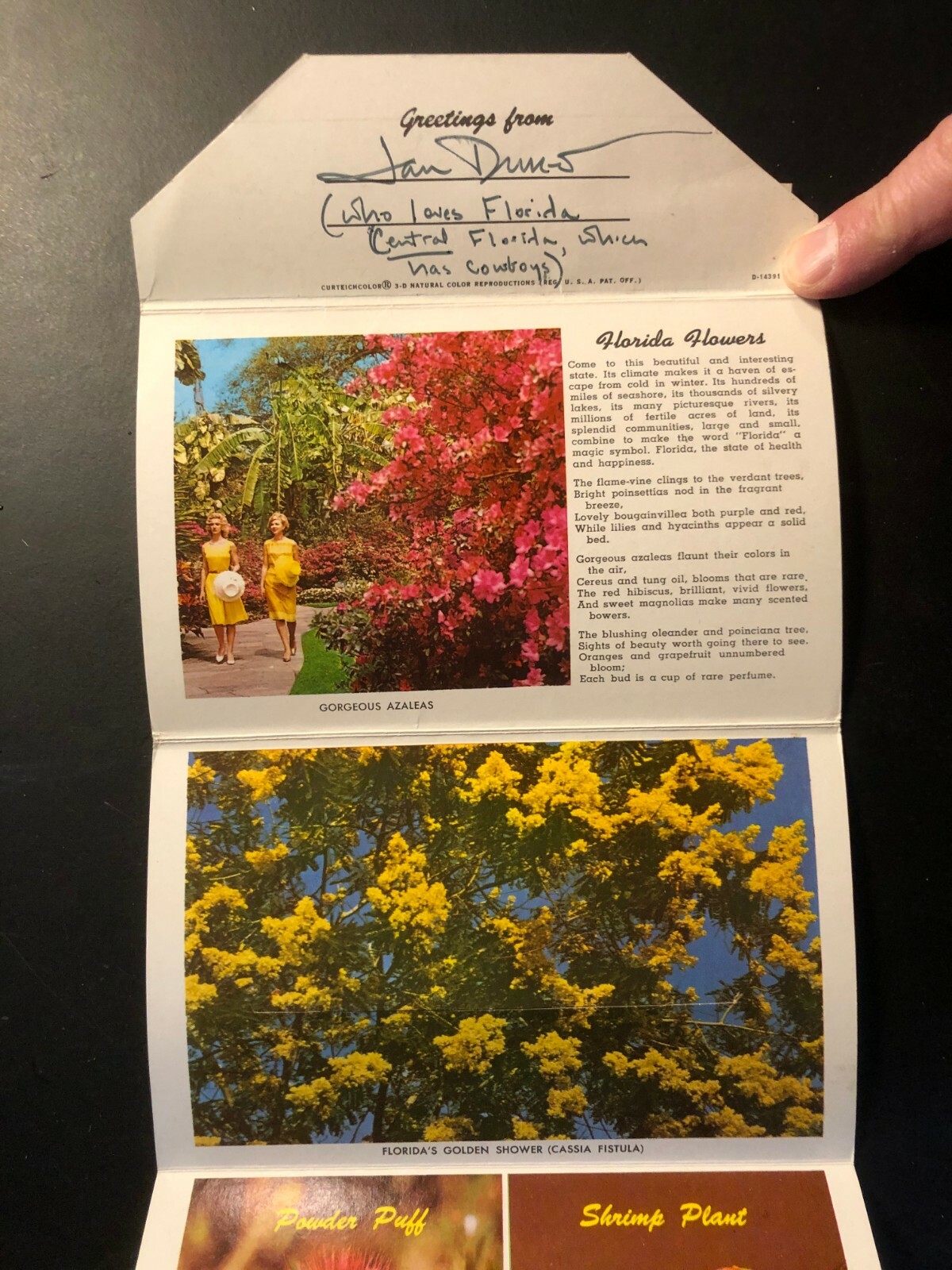 Old Vintage"FLORIDA FLOWERS" Fold Out Views Printed 1964 Made in USA