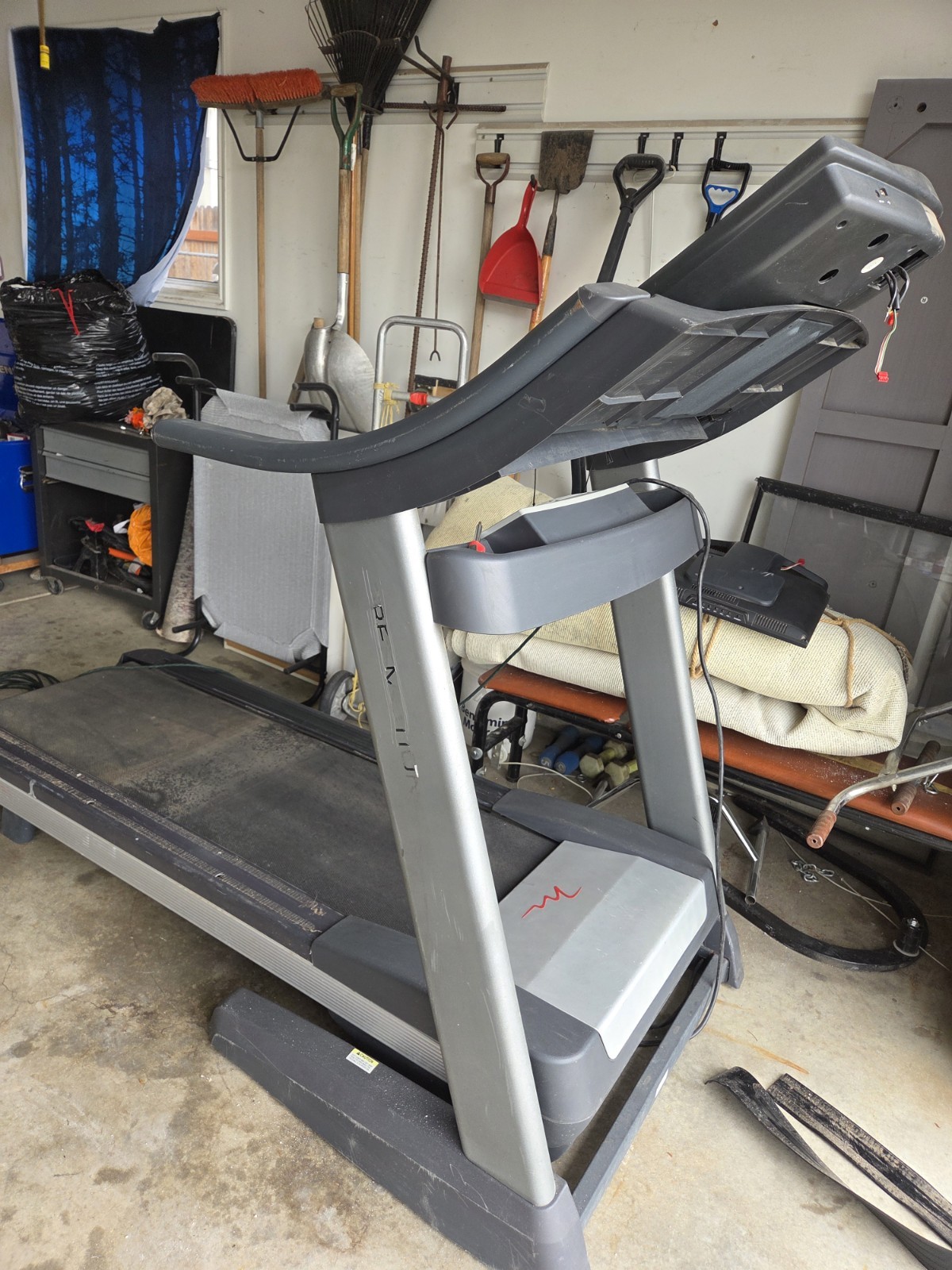 Free Motion Treadmill.