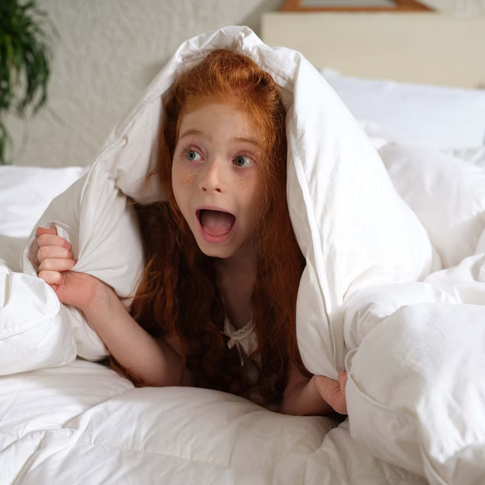 Inhand Goose Feather Down Fiber Comforter Queen Size - 100% White Cotton