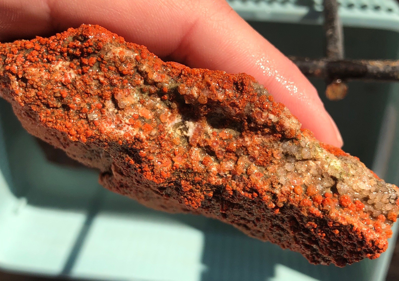 Utah Grape Agate 155g Rough Specimen Red Botryoidal Chalcedony Clear White