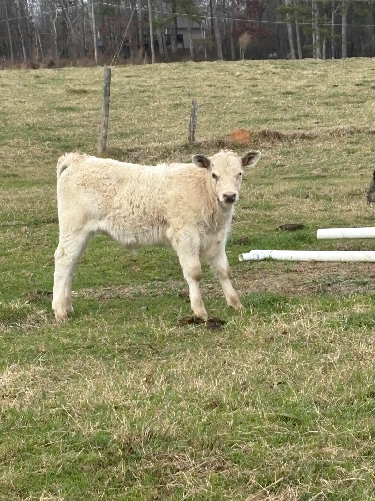 Mystery Farm Treasure – Real Surprise Item From a Small Family Farm!