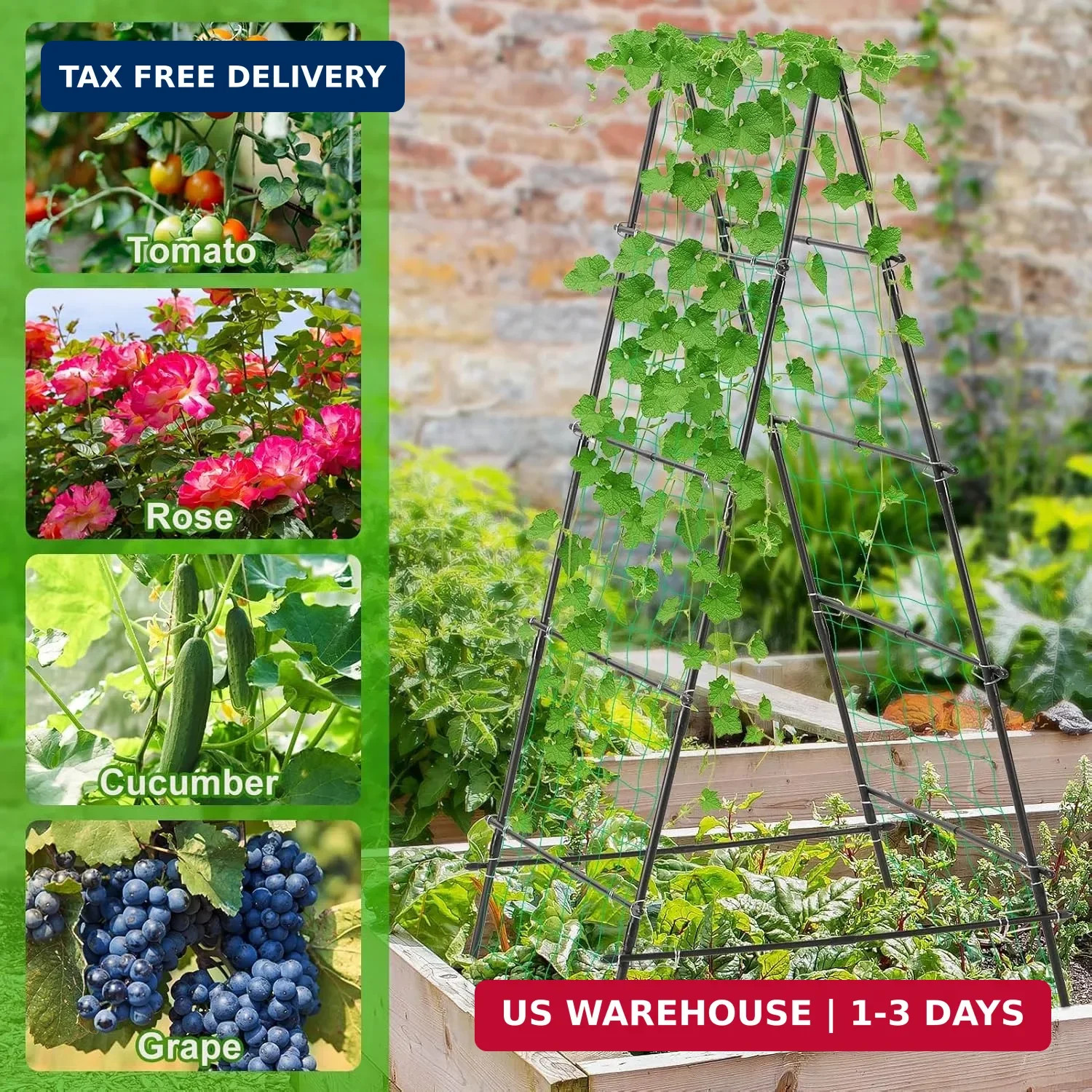 Garden Trellis for Climbing Plants, 71" H x 32" W Metal A-Frame Cucumber Trellis
