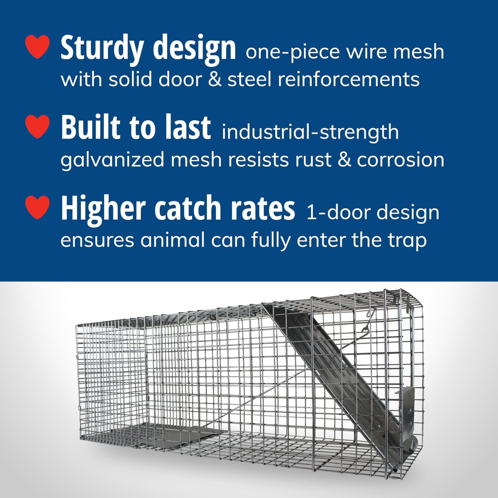 1079SR Large 1Door Humane Catch and Release Live Animal Trap Cage Live Racco...