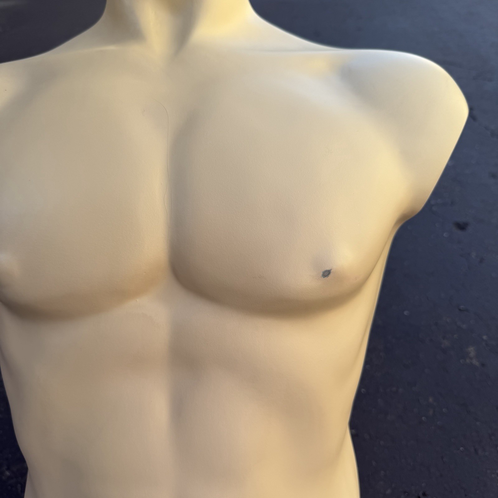 Lady Lulu Vintage Mannequin Torso Head Male Man Muscle Silver Spike Hair