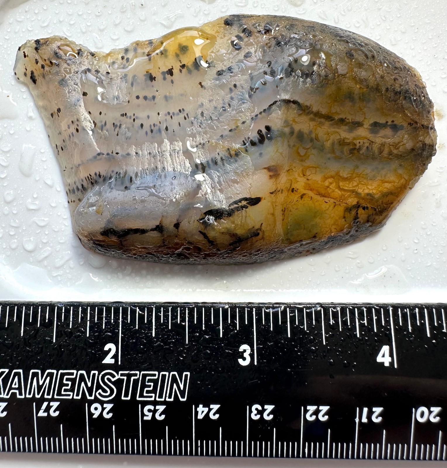 Montana Moss Agate End Cut, 58g, Cabbing/Lapidary