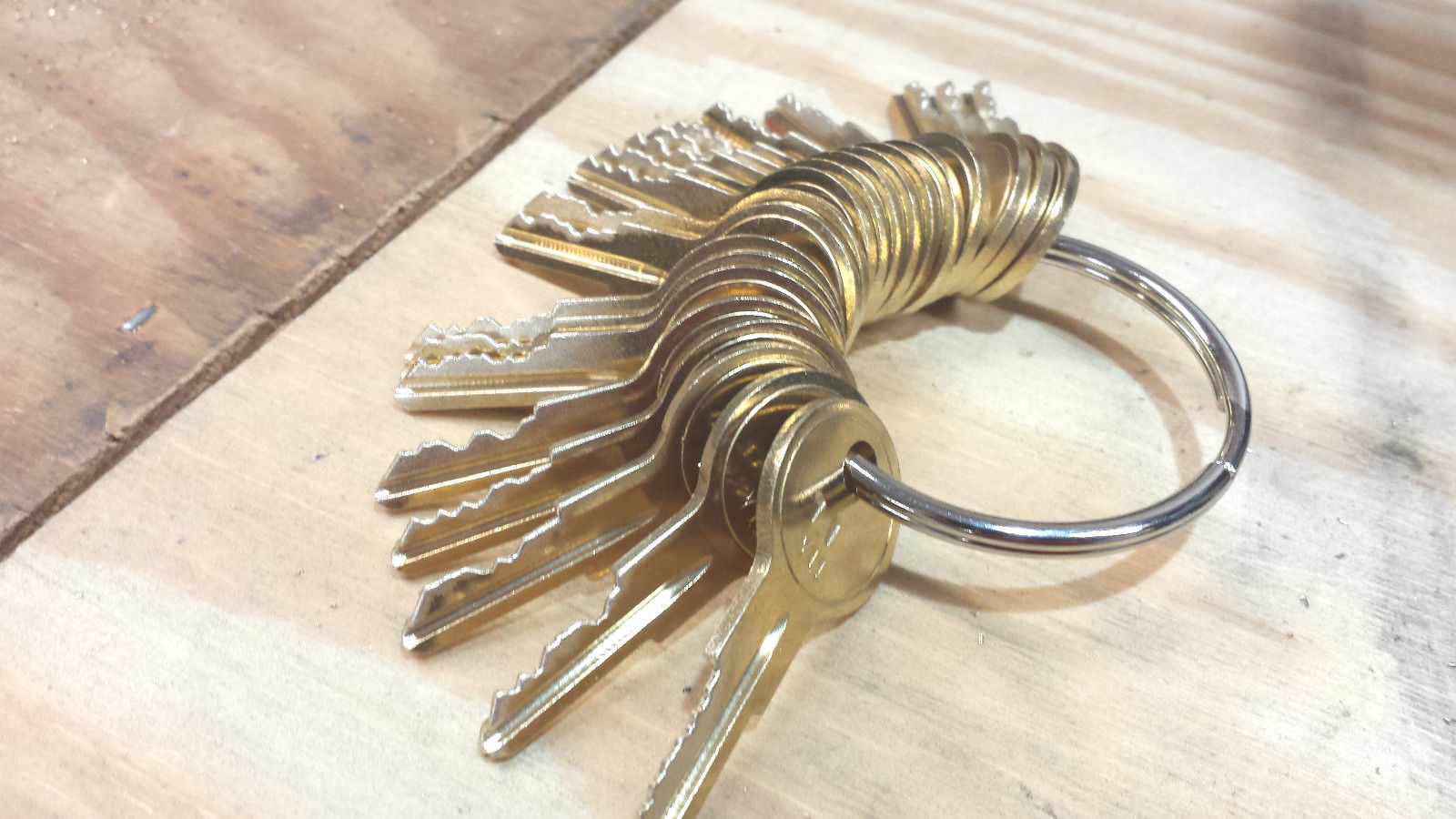 Detex Keys Full set 20 keys DT11 through DT30--CUT ON NEW BLANKS BY LOCKSMITH