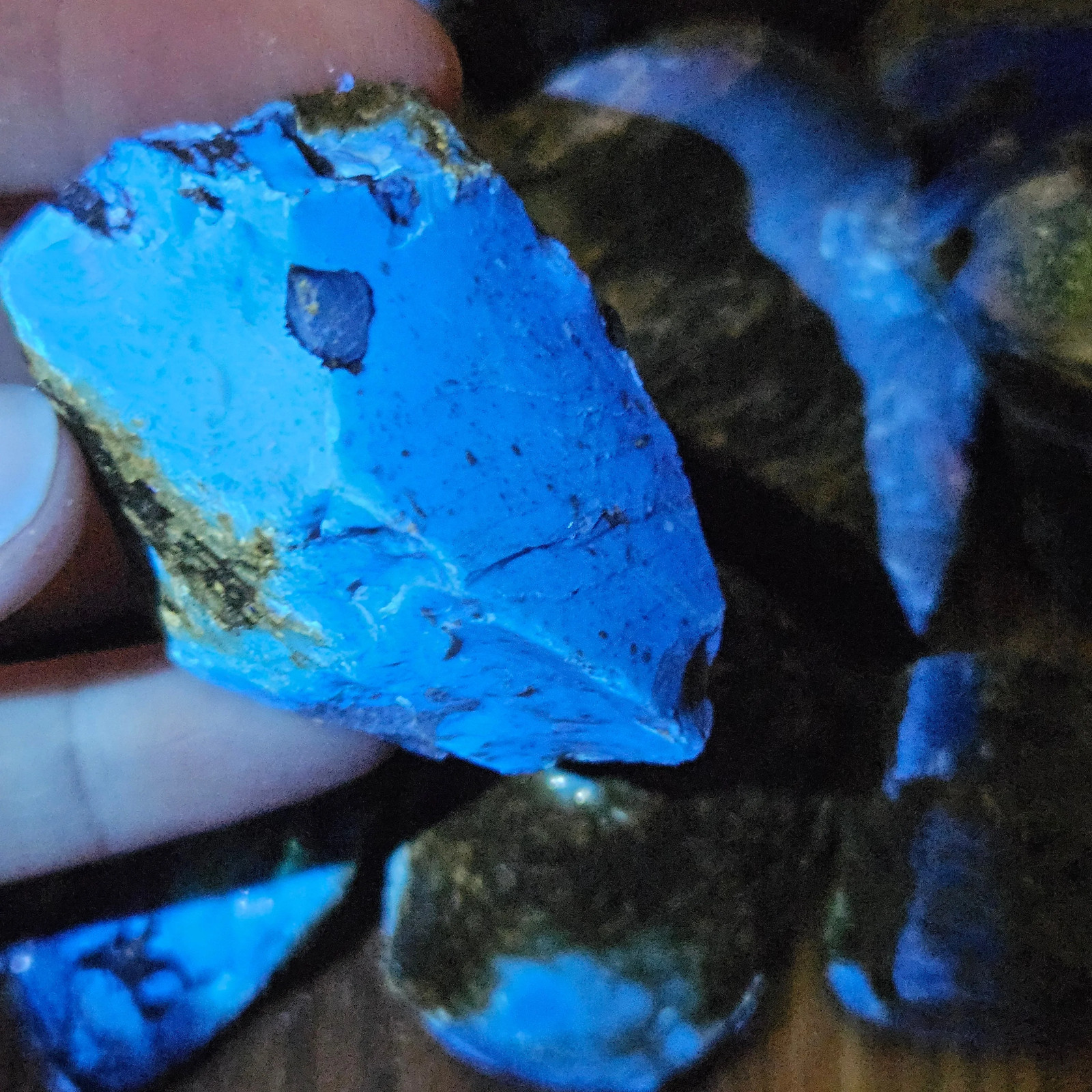 Blue Amber Specimen