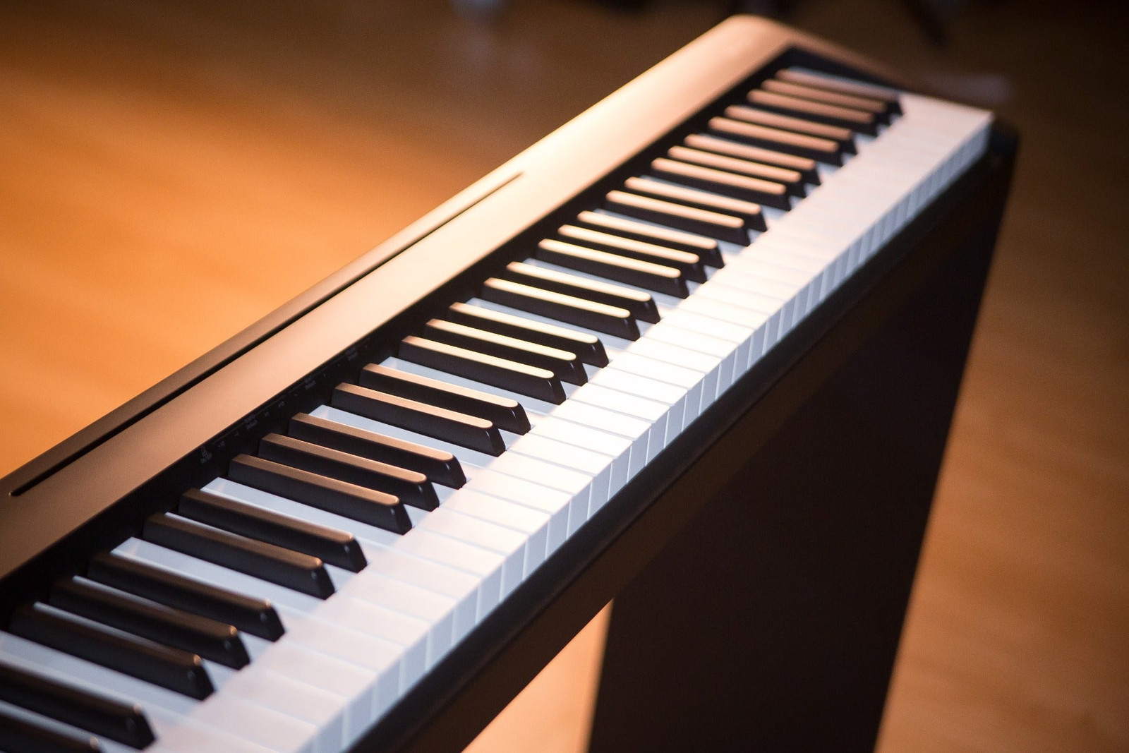 Roland FP-10 Digital Piano - Black