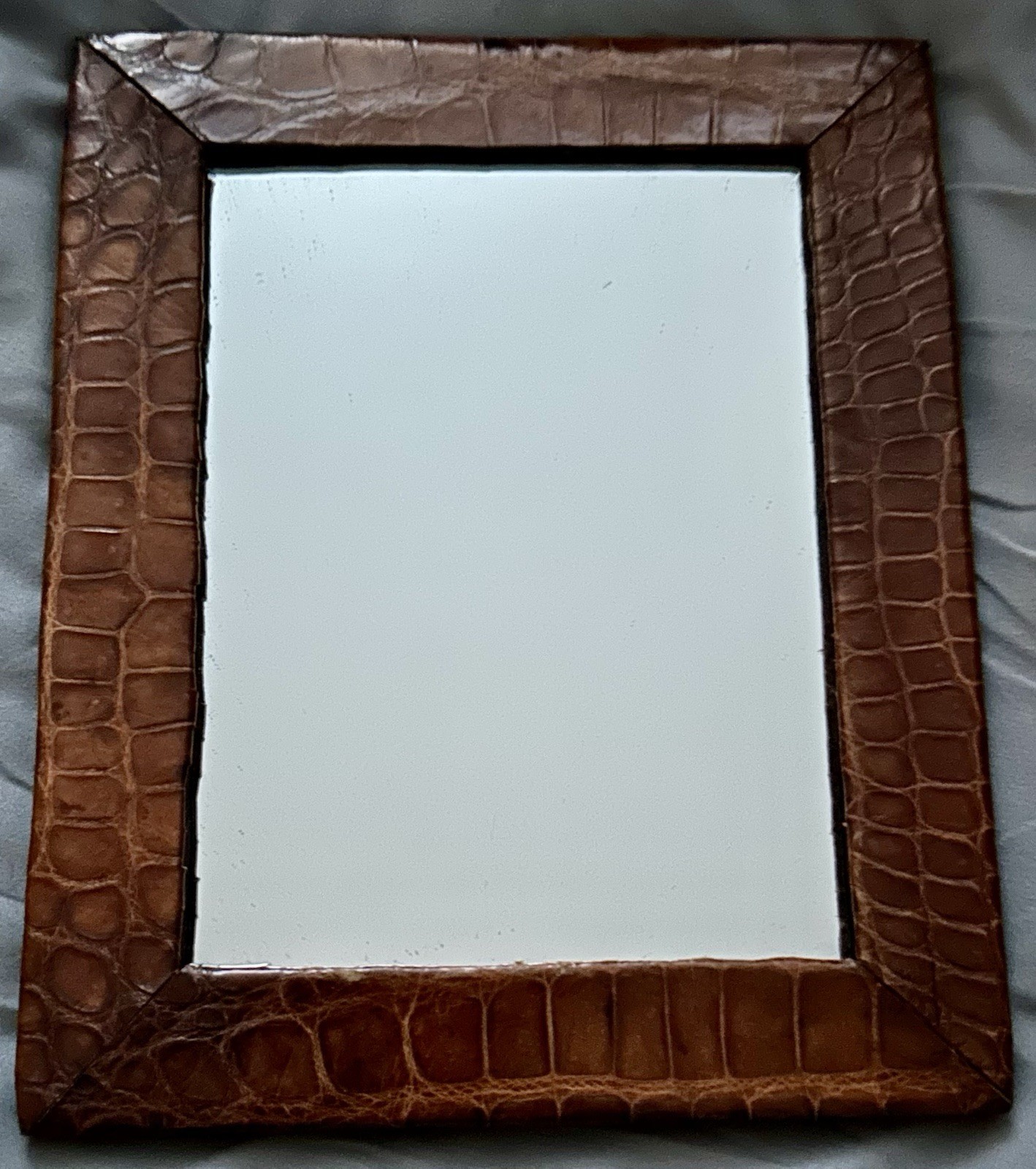 ANTIQUE CROCODILE Skin Picture Frame with Mirror BEAUTIFUL 8.5”x 10.75” GENUINE