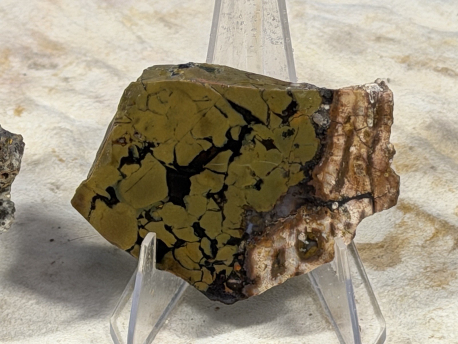 Whiskey Creek Jasper Slab Set, Lot #291