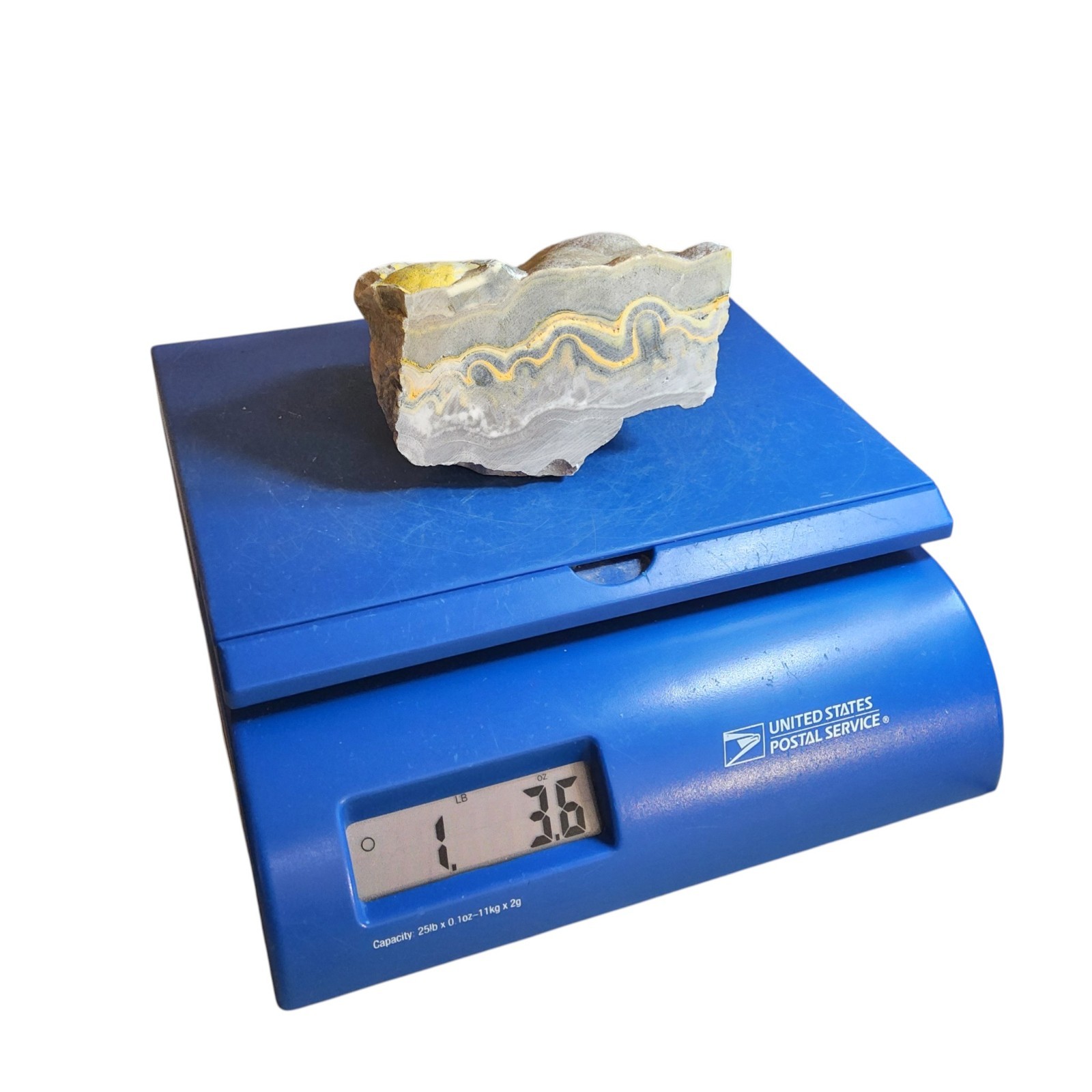 Bumblebee Jasper, 1.25 lbs, cabbing rough, #R-6999