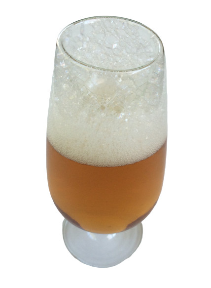 FAKE BEER GLASS No Spill Stage Magic Liquid Production Whisky Food Prop Joke Gag