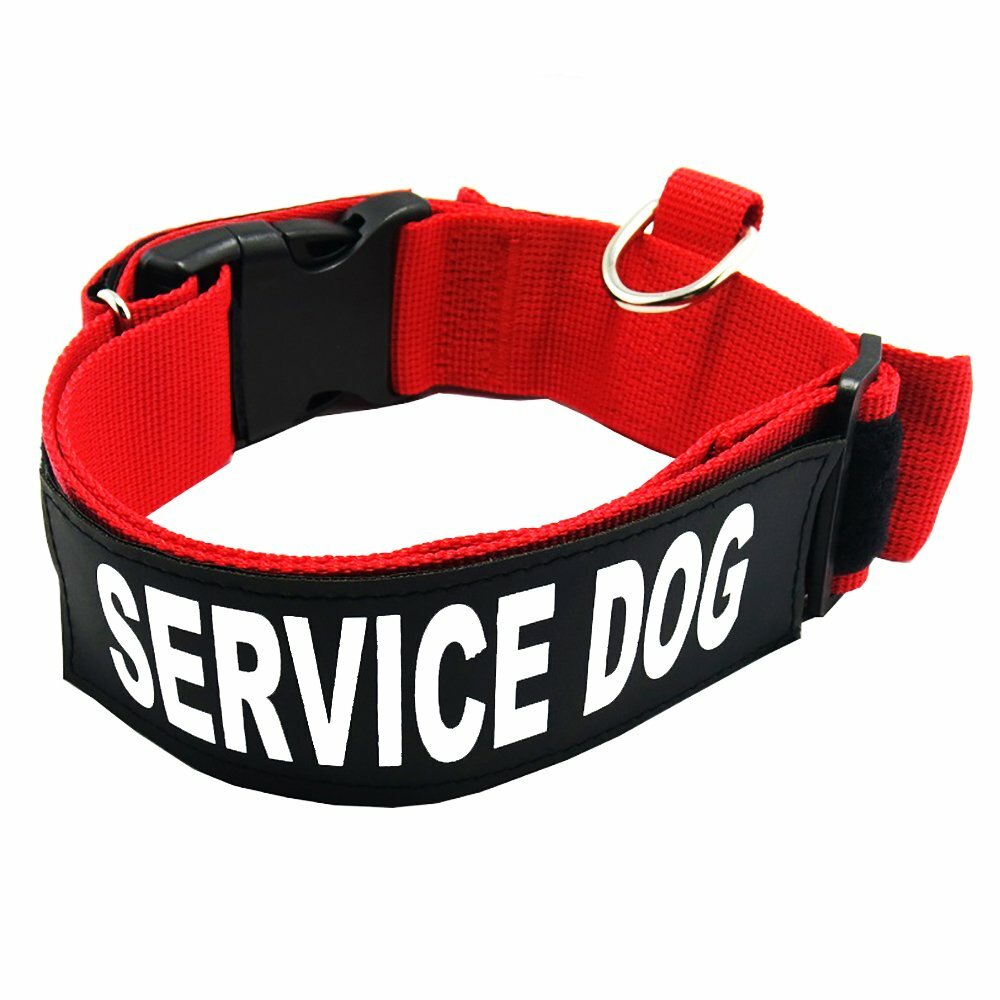 SERVICE DOG Collar Harness with Handle and Reflective Patches + 3 Free ADA Cards