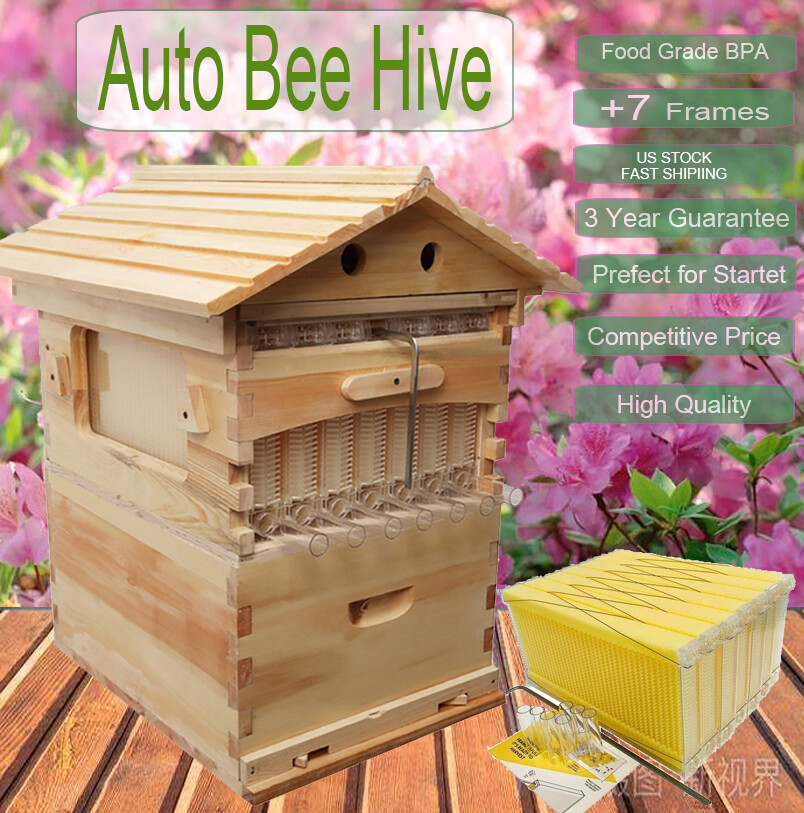Auto Seep Bee Hives Boxes Langstroth Bee Hive HOUSE + 7x Bee Beekeeping Frames