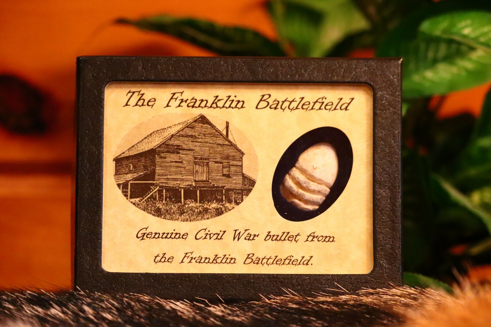 Shot Bullet Relic from The Battle of Franklin, TN with Display Case and COA