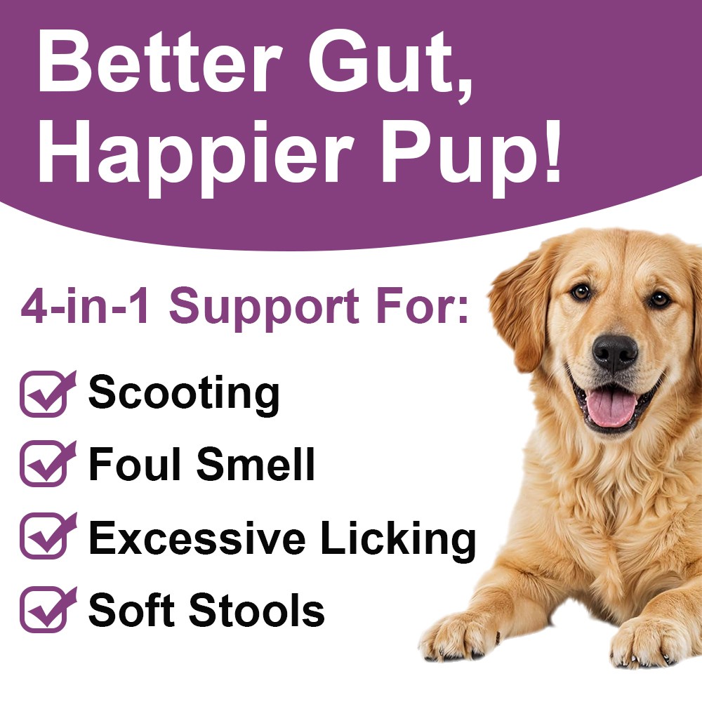 150 Soft Chews of Pumpkin + Anal Gland Support Supplement for Dogs No Scoot