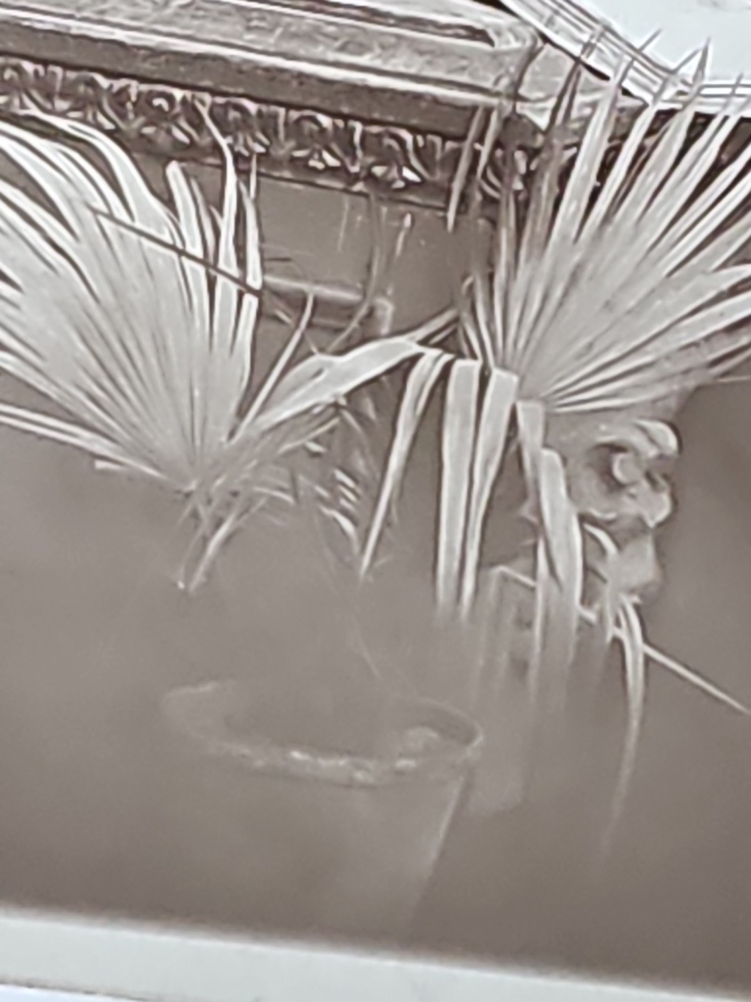 WW1 RPPC Photo UK British Red Cross Medic And Wife Named P14 Type Belt