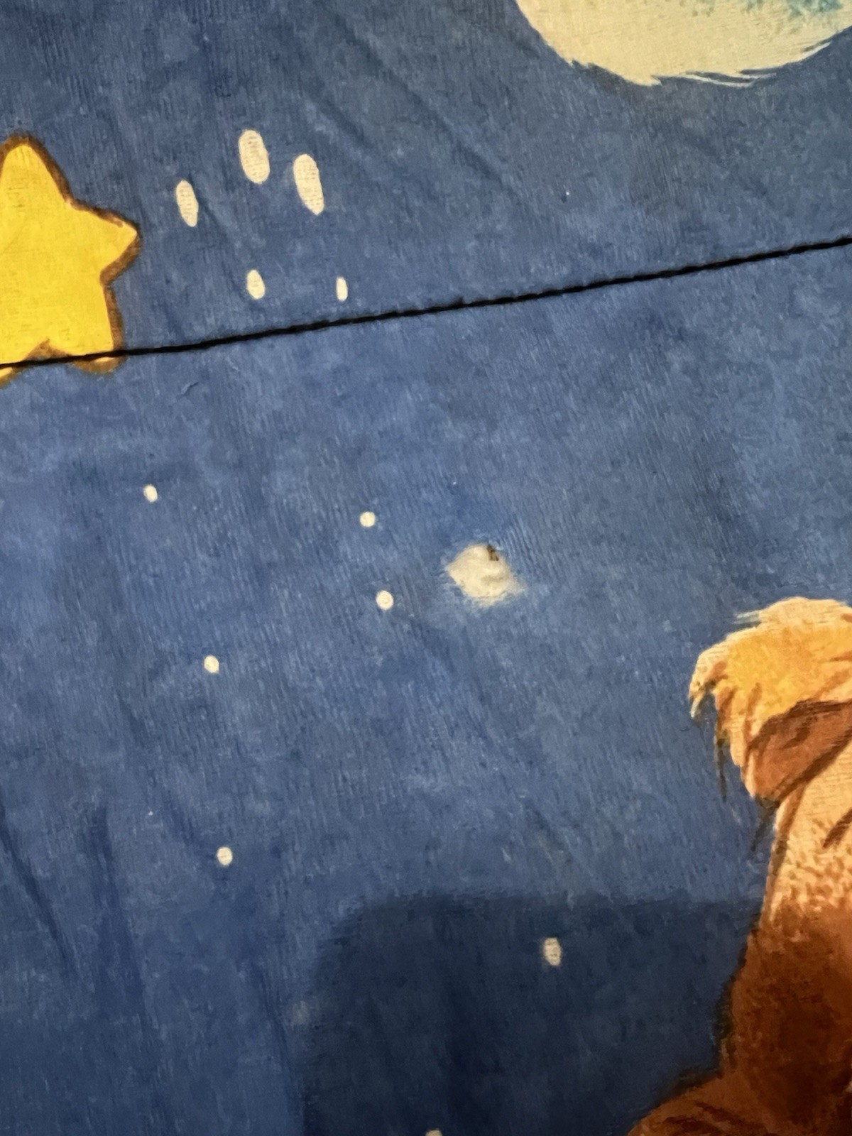 Vintage Care Bears Sleeping Bag 1984