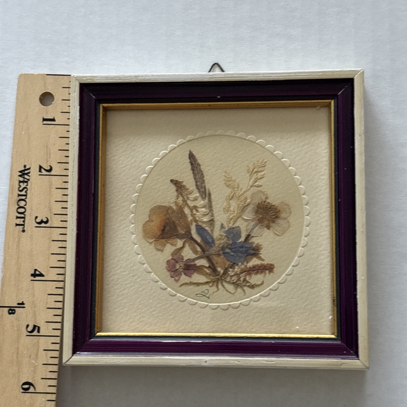 Vintage Dried Pressed Flowers Leaves Framed Wall Hanging Small GDR East Germany