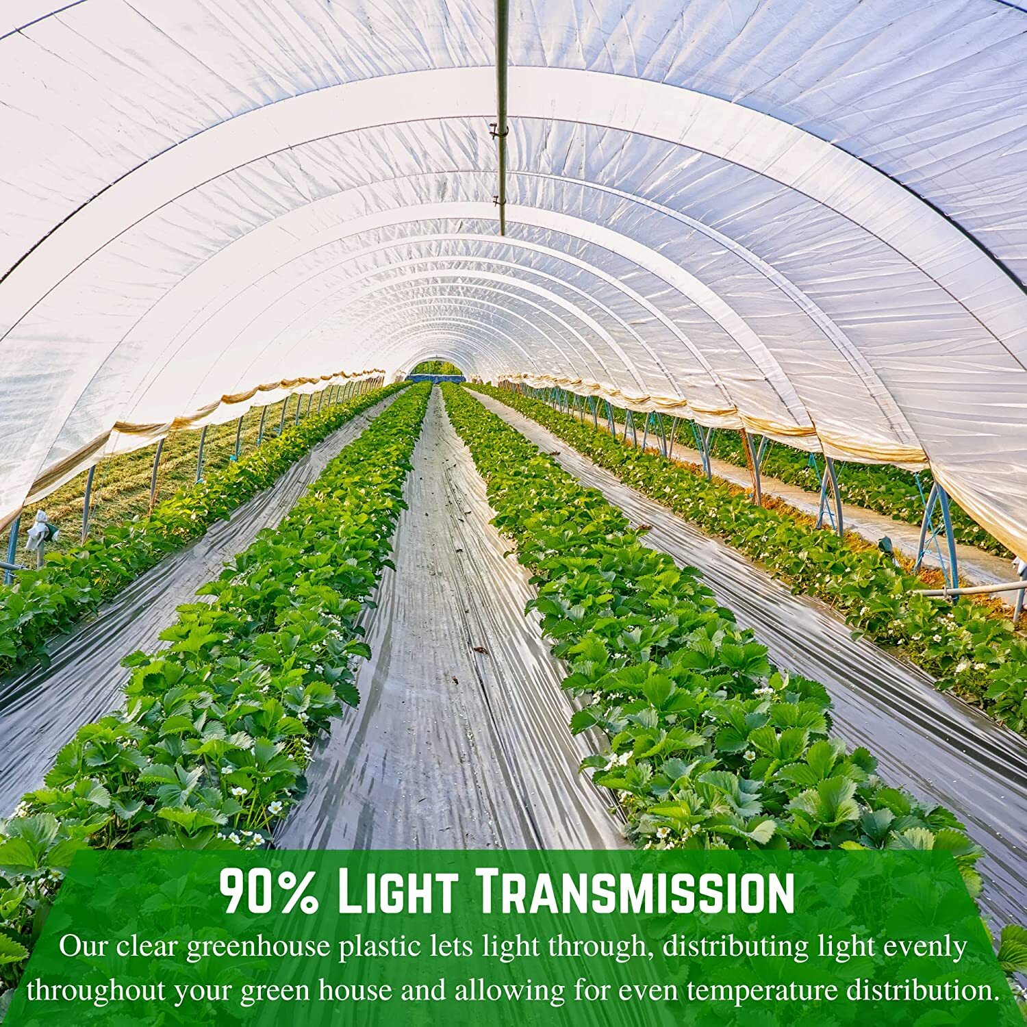 Farm Plastic Supply - Clear Greenhouse Plastic Sheeting - 6 mil - UV Resistant