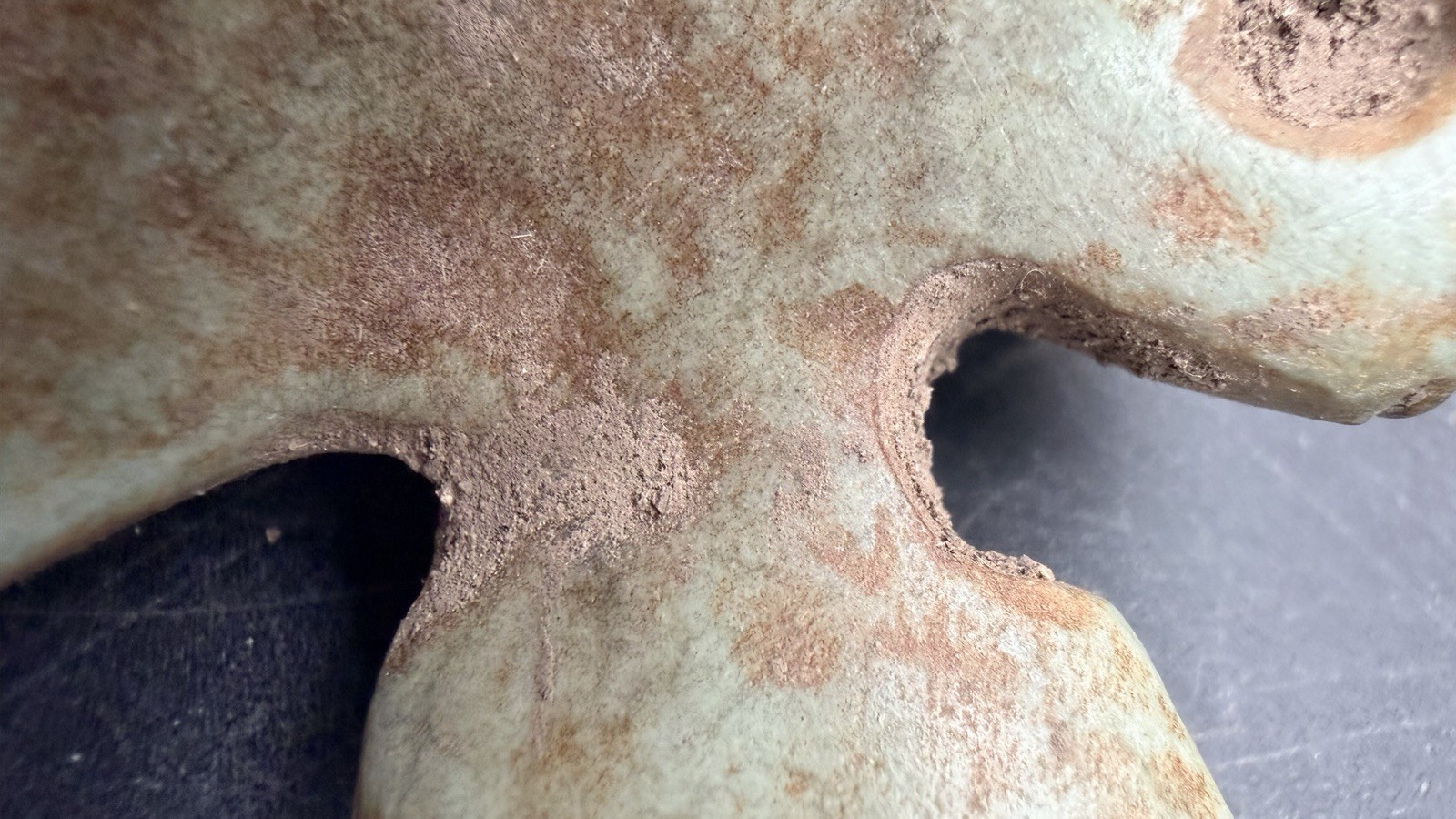 Blue Calcite Tula Hidalgo PreColumbian Eagle Aliencarvings Ojuelos