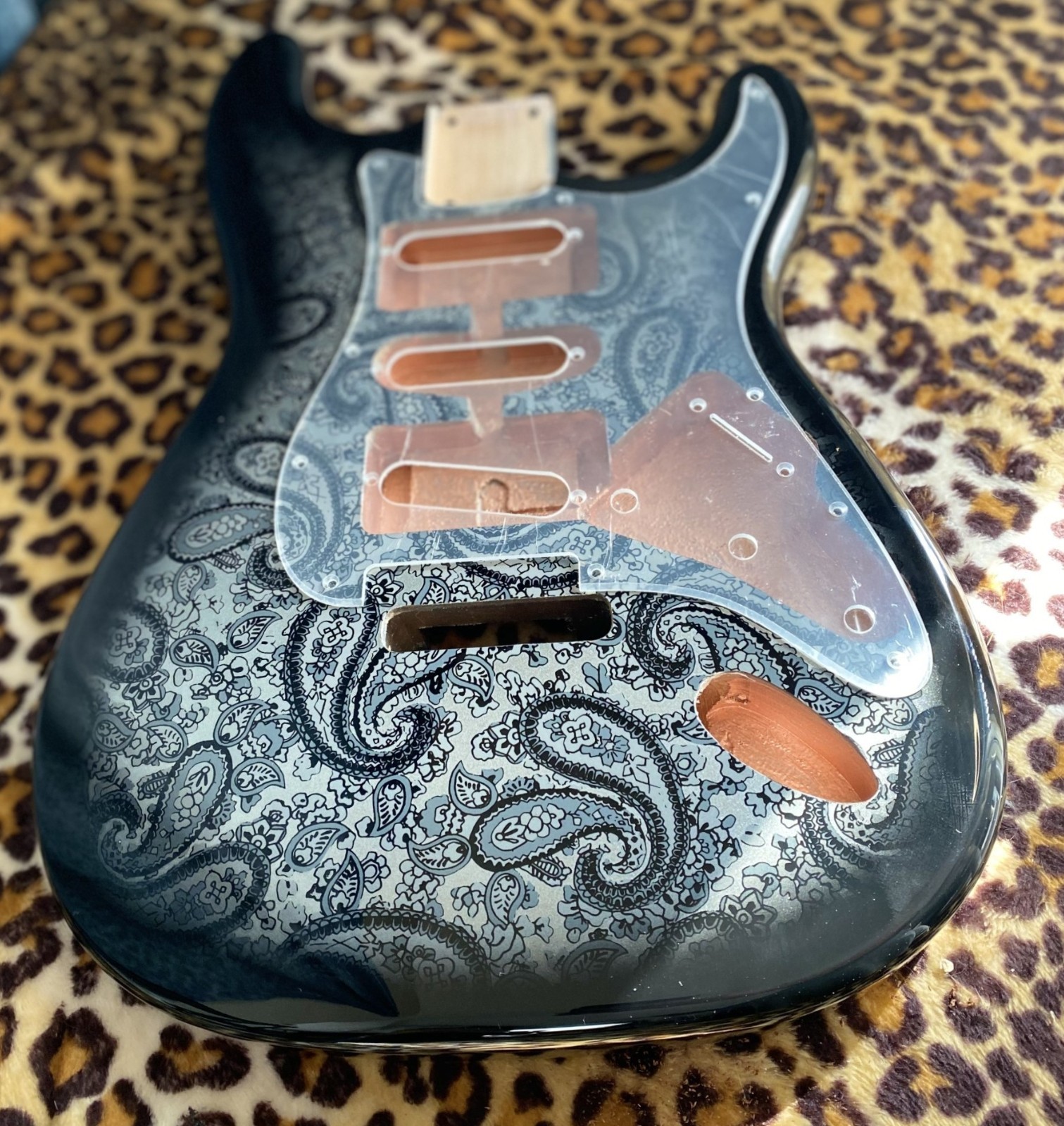 Paisley Stratocaster HSH Alder Fender Replacement Body Shielded Cavity