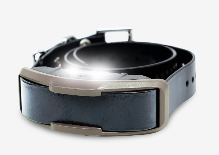 Dogtra 1900X HANDSFREE Dog Trainer Remote E-Collar 3/4 mi, Tone & XPP Vibration