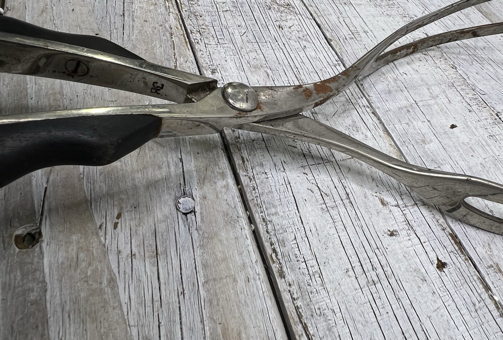 AS-IS Rusty Obstetrical Forceps Medical Birth Birthing Device Oddity Oddities