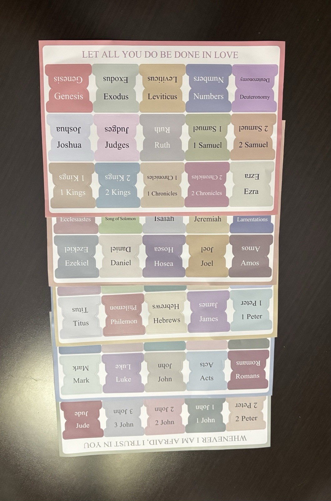 The Bible In A Year: A 52-Week Bible Study Guide W/Bible Tabs & Highlighters