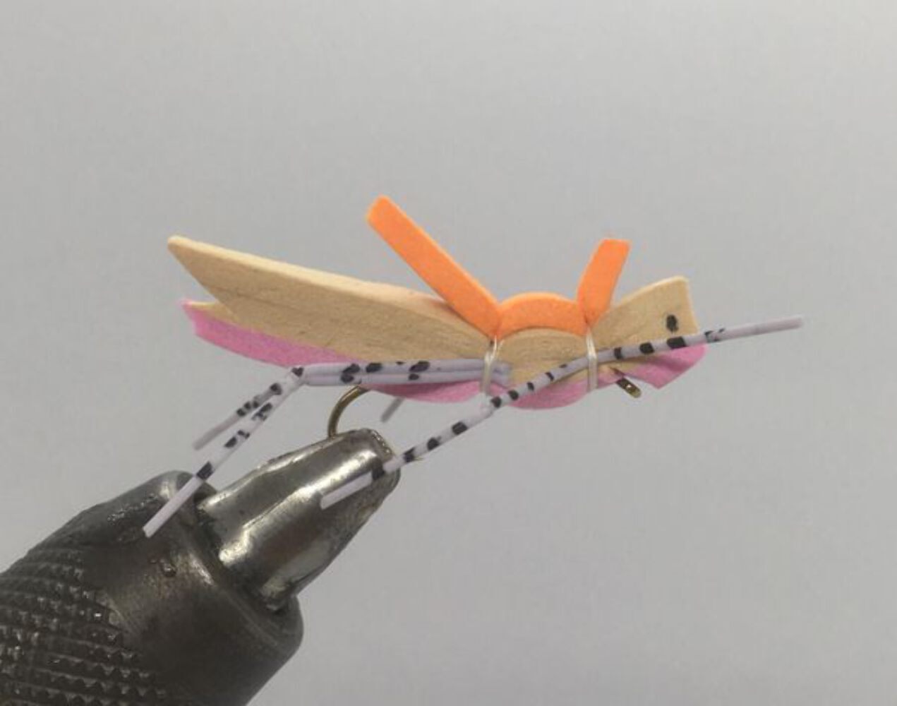 One Dozen (12) - Morrish Hopper - Pink - Terrestrial