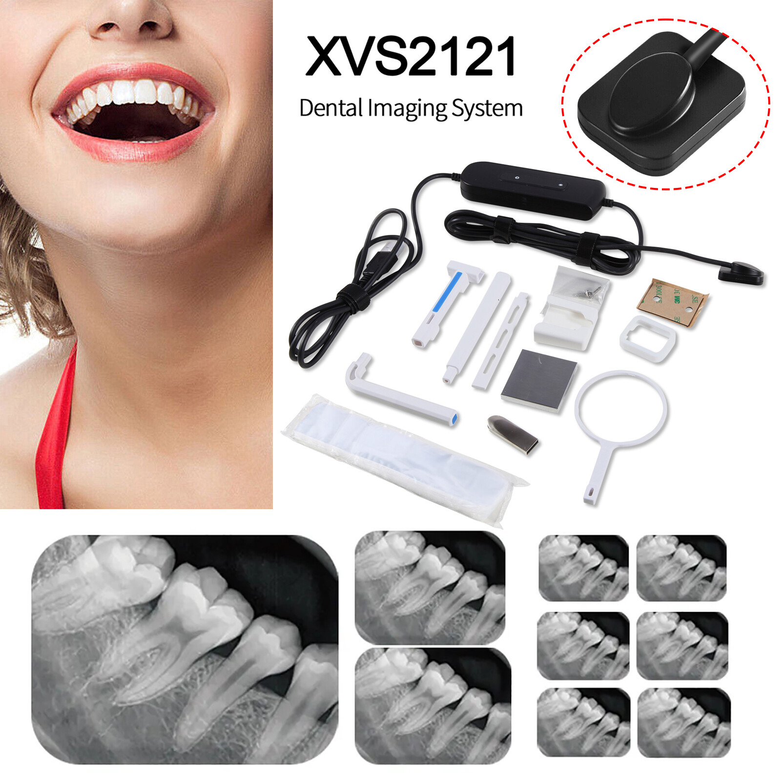 Digital Dental Xray Imaging System RVG X-ray Sensor Size 1.0 Veterinary Holder