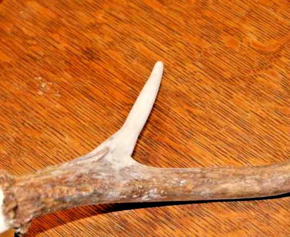 ALL-GAME The Antler Repair Material - FIX BROKEN & MISSING POINTS TINES - SMALL