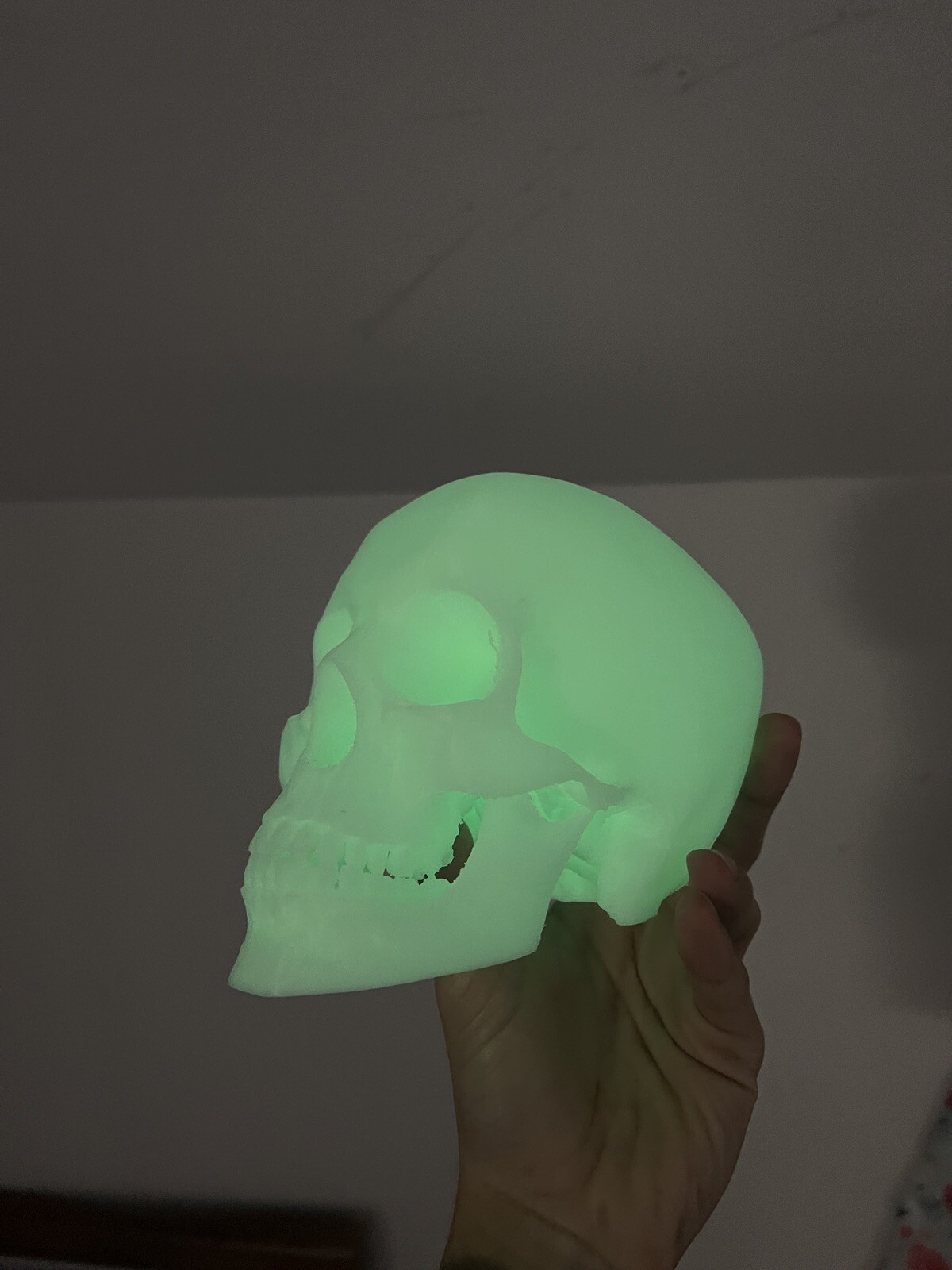 Glow In the Dark Human Skull! (Good Quality:3DP:White-PLA) GREEN OR BLUE GLOW!