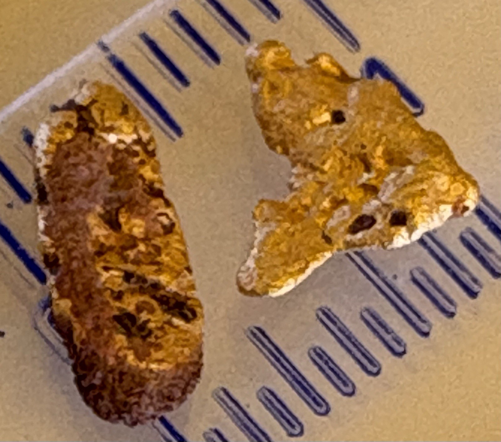 2 genuine, natural, Australian gold nuggets 0.59 gram