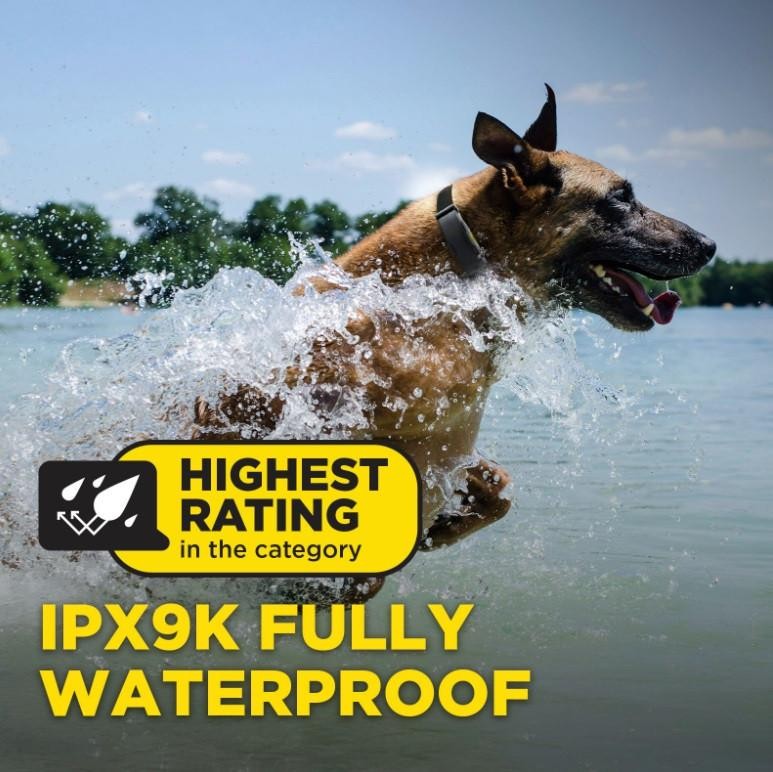 Dogtra ARC-X HANDSFREE Dog Remote Training Collar 3/4 Mile Boost, Tone & XPP Vib