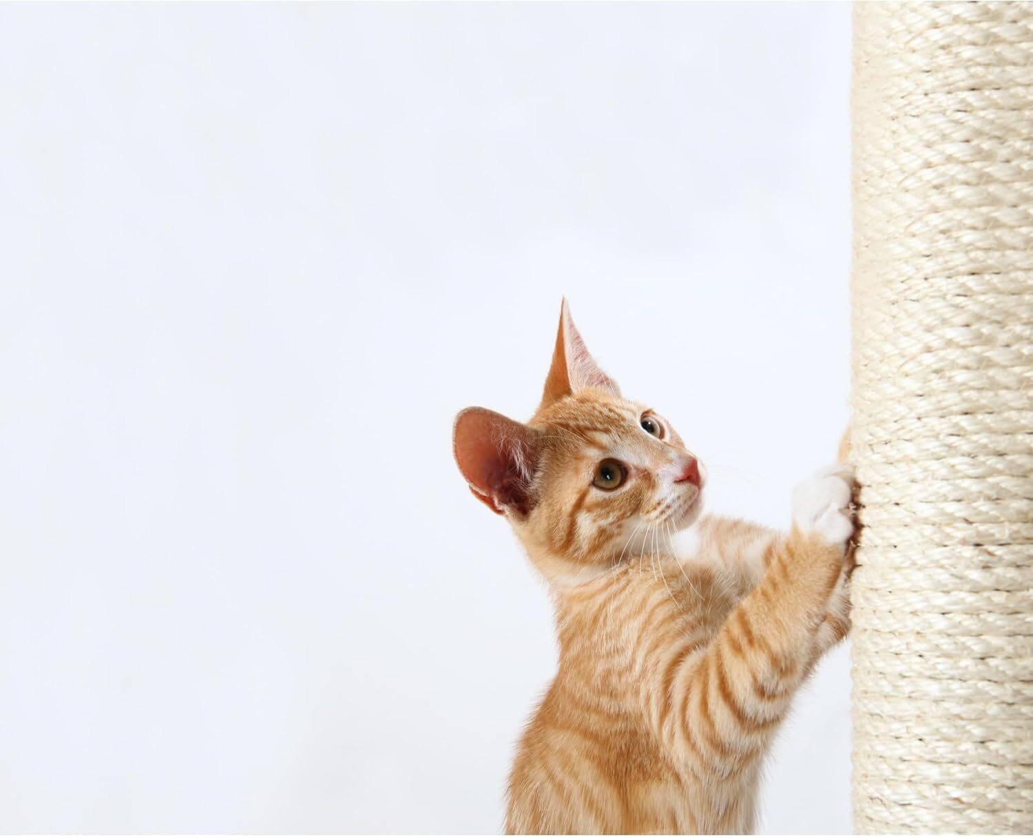 Replacement Sisal Post for Scratching Posts Cat Trees and Cat Towers