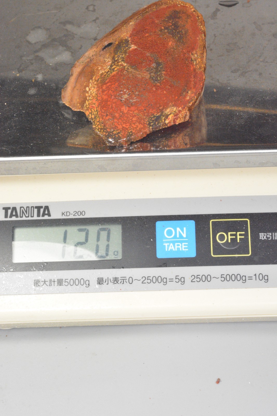 Orange Agatized Dinosaur Bone, New Mexico, 120 grams