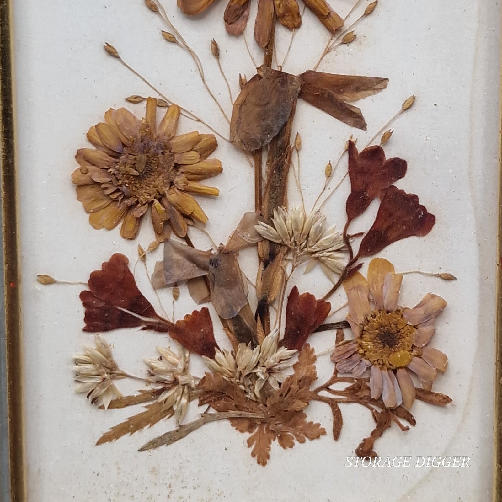 Vintage 1970's Reichlin Switzerland Pressed Dried Flowers Art Gold-Tone Frame
