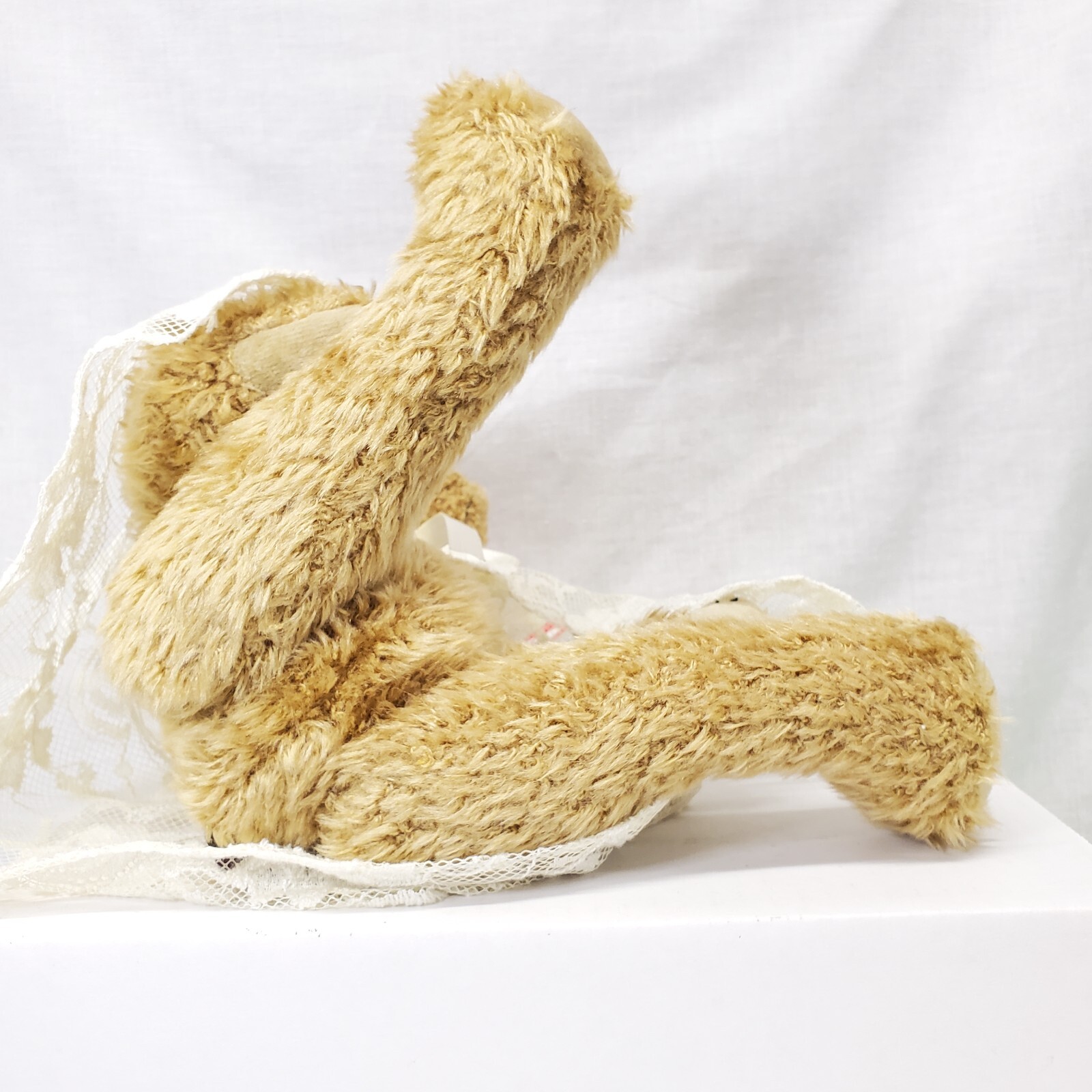 Ty Eve You're the Apple of My Eye Bear 13" Plush Soft Toy Stuffed Animal