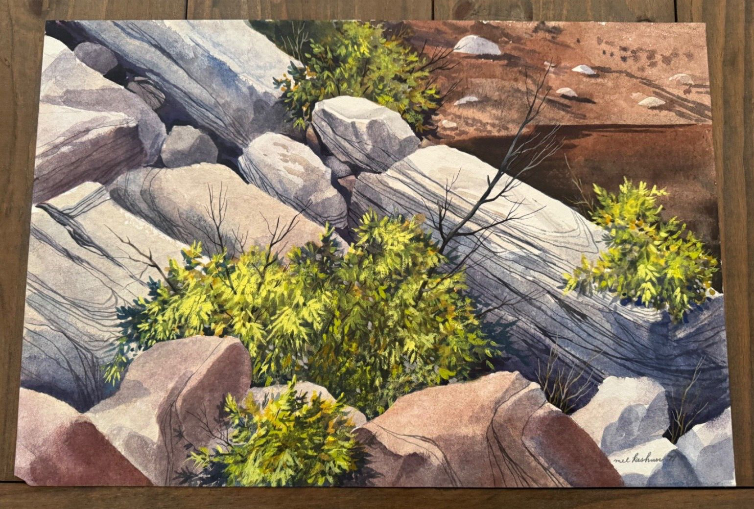 MEL KISHNER SABINO CANYON ORIGINAL SIGNED WATER COLOR PAINTING ON PAPER 22"X15"