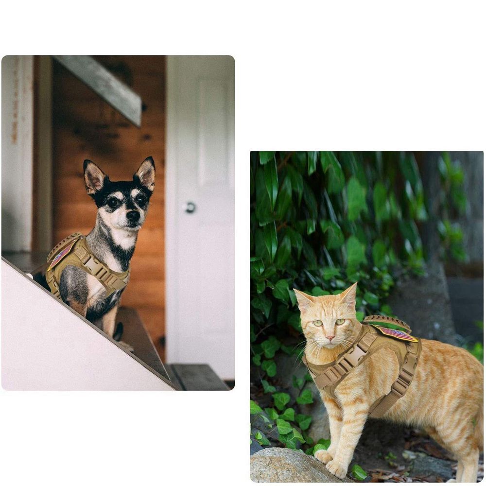 Nylon Tactical Cat Harness Walking Adjustable Pet Vest for Large Cat Small Dog