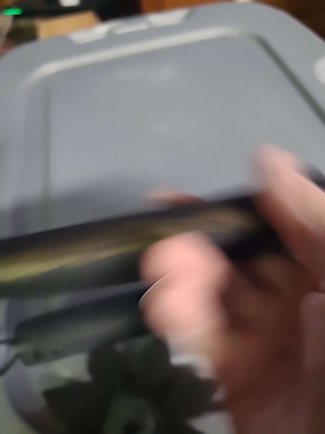 NUMCHUCKS FOAM AND FOAL STARS (BIN J)