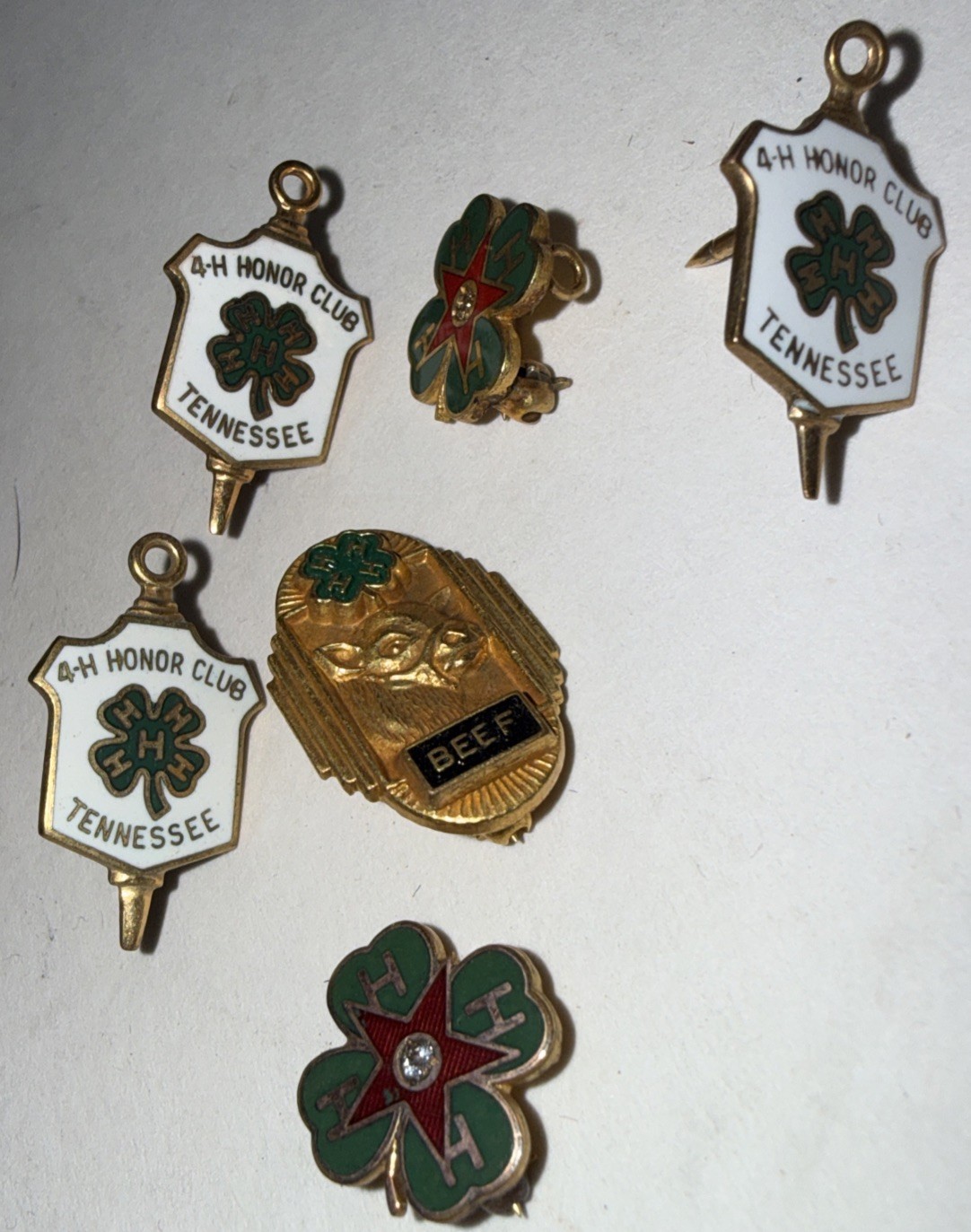 Vintage 4-H Club Pins Lot Of 6 HTF Gold Filled Pins 1-20th 10k