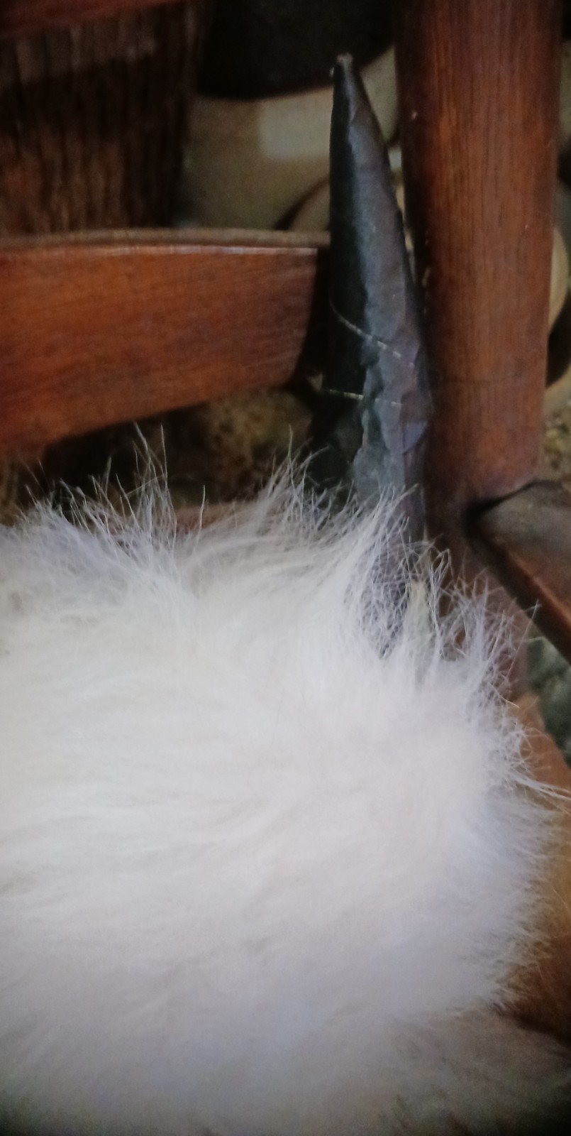 *AWESOME NATIVE AMERICAN WHITE BUFFALO HEAD DRESS LORETTA BEYUKA NICE HTF !*