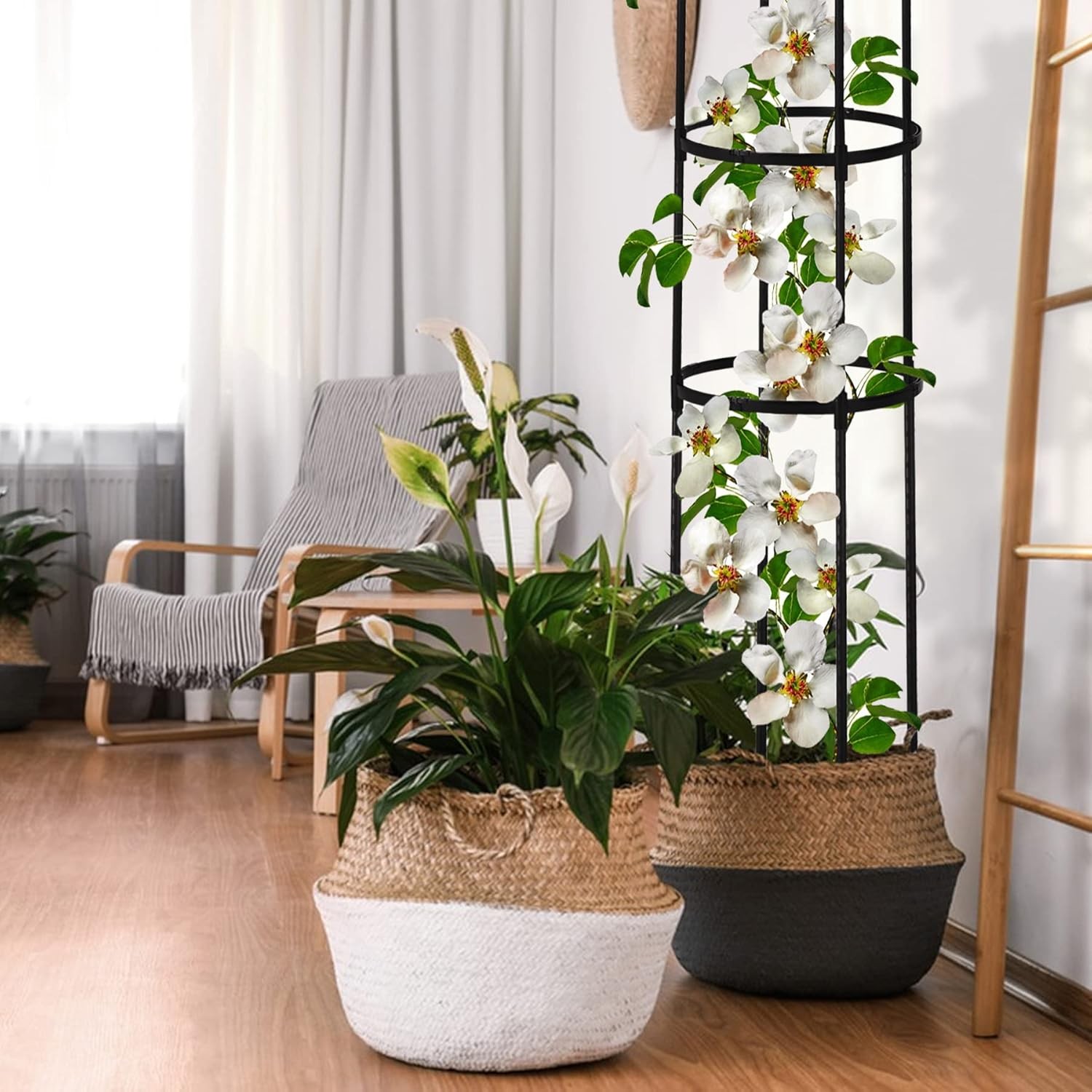 Garden Obelisk Trellis 6Ft Tall Rustproof Climbing Plant Support Garden Black