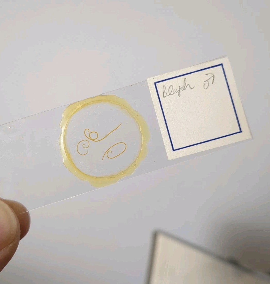 Vintage Prepared Microscope Glass Slides - George Poinar Jurassic Park Estate