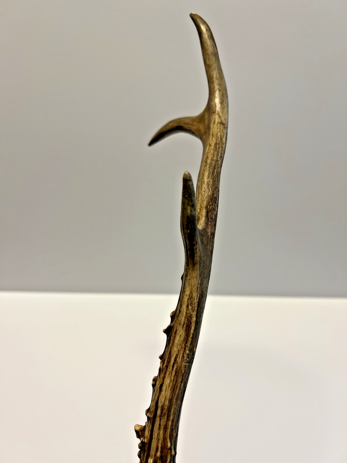 Antique Original Native American Indian Ceremonial Deer Antler Brush;