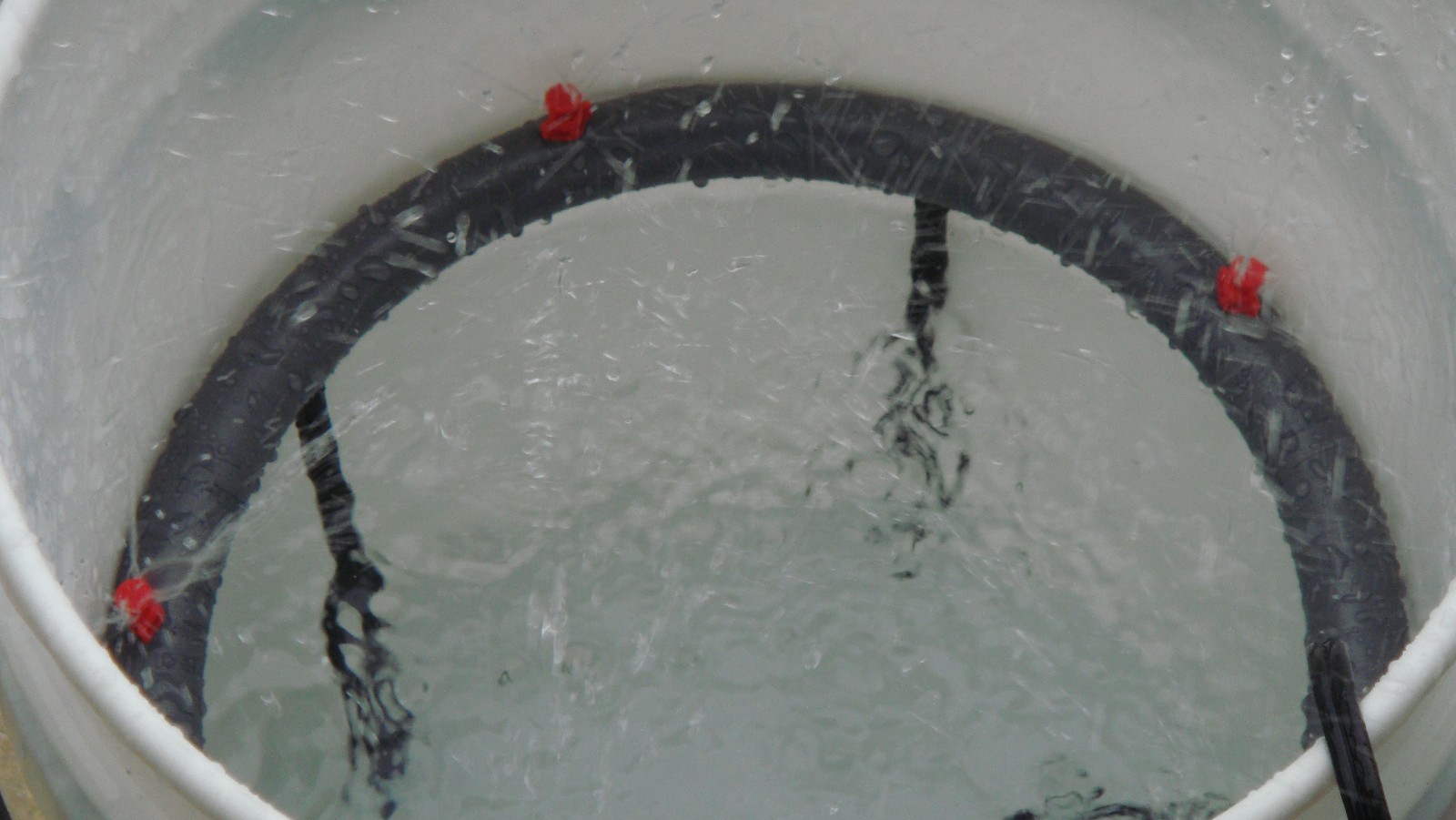 DIY- Aeroponic Ad-On For Bubbler Buckets  - Aero-Hydroponics Bubbler / Cloner