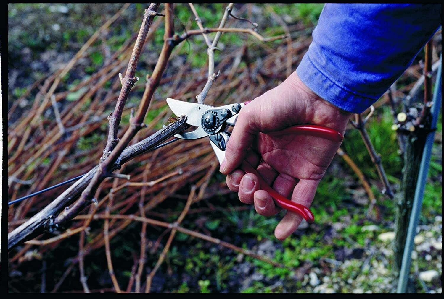 Felco 8 Ergonomic Model Bypass Pruning Shears Swiss Made Hand Pruner Shear F8